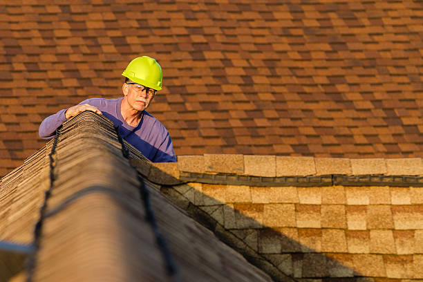 Best Roof Gutter Cleaning  in Pleasant Run, OH